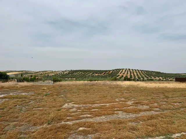 VENTA DE SOLAR INDUSTRIAL EN CHIMENEAS — 25
