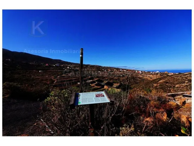 Gran terreno con huertas descansadas en Güimar — 23