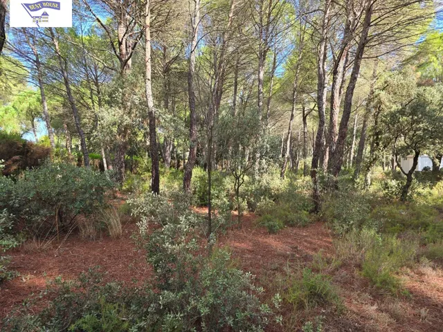 Terreno Urbano en Pinares del Júcar, Albacete — 11
