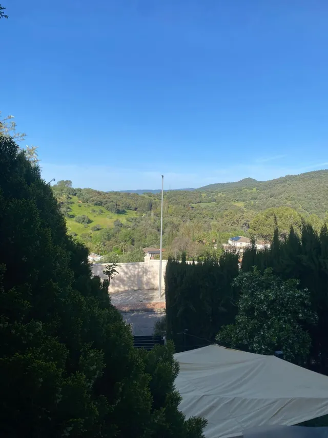 Espectacular Chalet Seminuevo en Encinares de Alcolea - foto 5