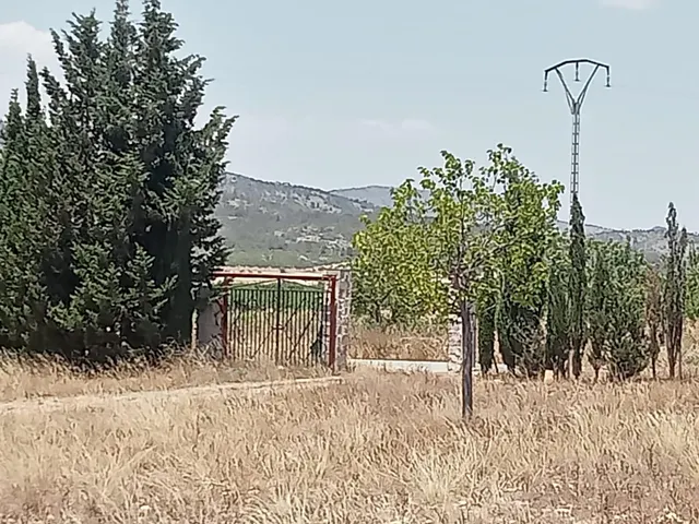 Campo en monovar — 11