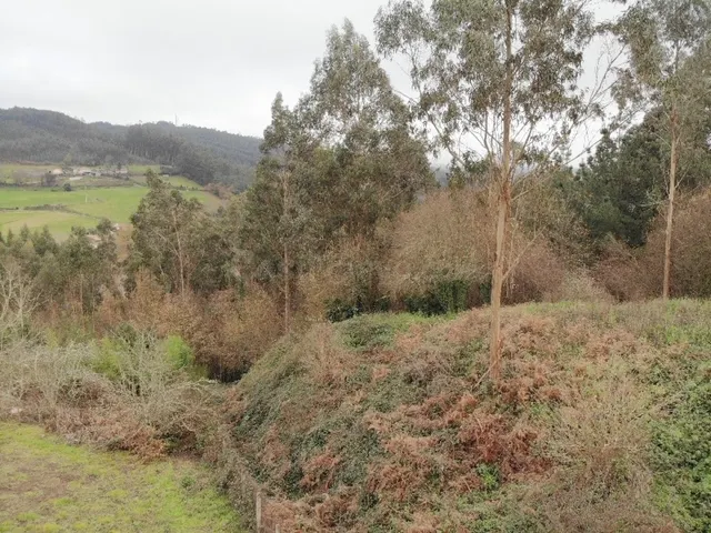 Finca Urbana en OzaCesuras — 5
