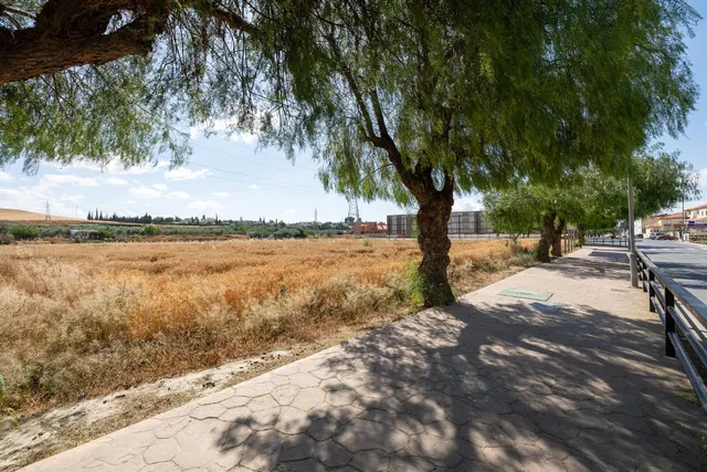 Parcela de 5000 metros junto al mercadona de Hijar — 9