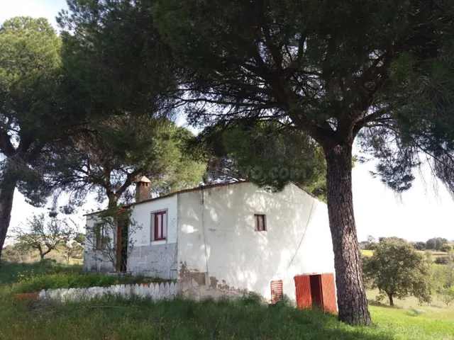 CHALET CON PARCELA - GARROVILLAS, CÁCERES - - foto 2