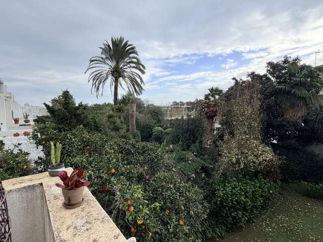 Ático Dúplex 1 habitación 114m² en venta - San Roque Pueblo — 25