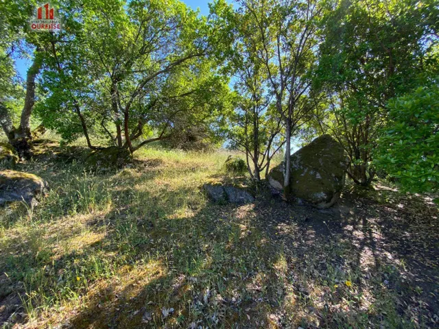 SE VENDE FINCA URBANIZABLE EN LA ZONA DE VELLE — 8