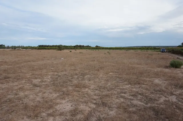 AMPLIA PARCELA DE 13000 M2 ZONA DE LA HOYA — 10