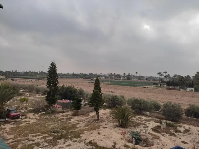 CHALET SEMINUEVO A DOS PASOS DE ELCHE — 13