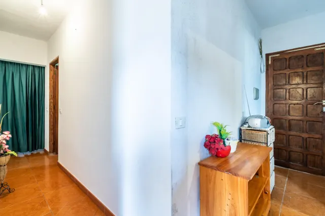 Finca con vivienda y viñedos en Icod de los Vinos — 29