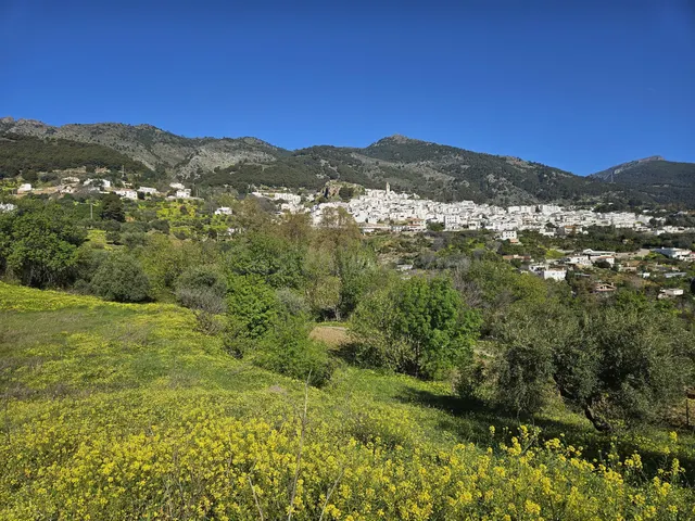 Finca rústica con olivos y cuadra en Casarabonela (Málaga)