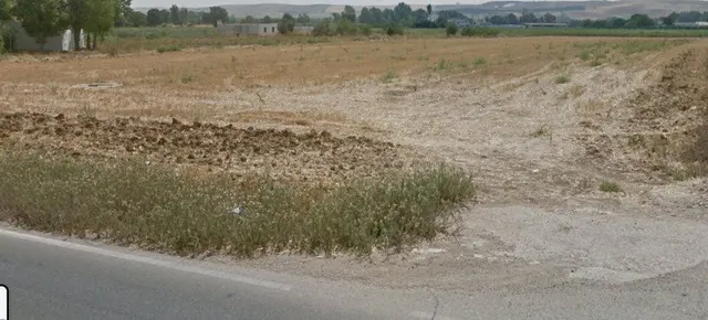 Terreno de siembra de 12.250 m2, fachada a la carretera. - foto 2