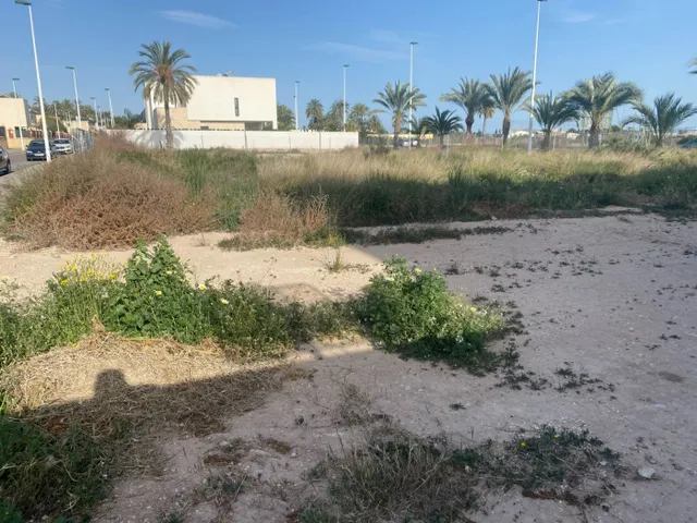 Exclusiva Parcela de 250 metros en La Torreta, Elche — 31