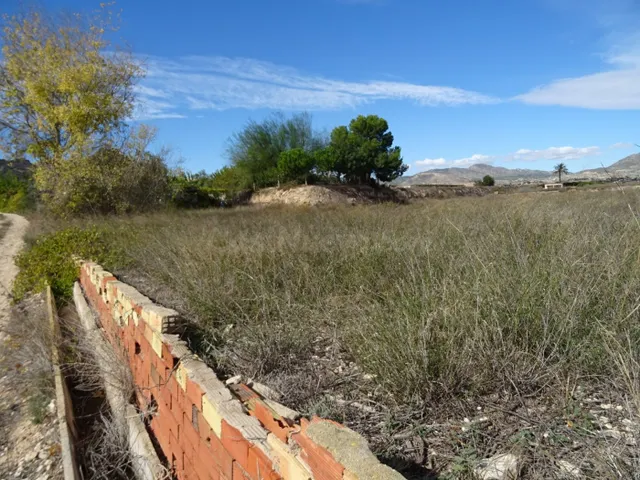 SE VENDE TERRENO EN LA ZONA DE LA HORNA EN ASPE - foto 4