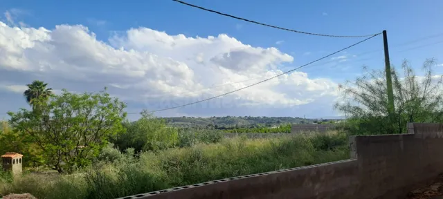 TERRENO RÚSTICO EN VENTA EN CANYADA DEL CORRAL – TORRENT - foto 2