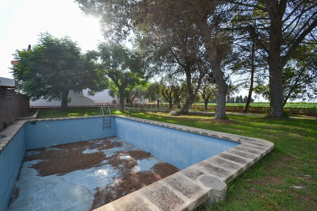 Finca Rancho Laurita - foto 5