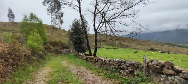 FINCA RÚSTICA CON CABAÑA Y VISTAS PANORÁMICAS EN LUENA.- — 15
