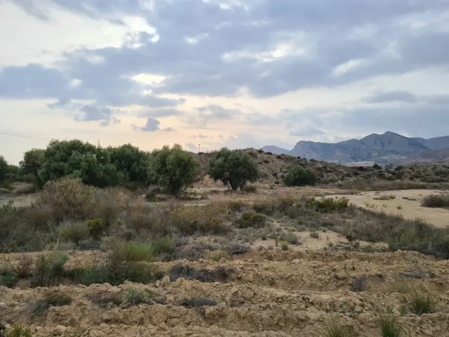 SE VENDE TERRENO EN LA ALCORAYA, ALICANTE.SEVENDGROUP.COM — 6