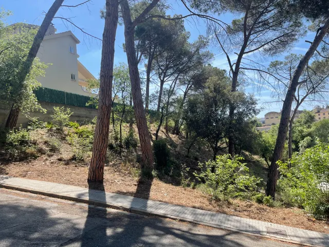 TERRENO JUNTO A CAPELLADES — 3