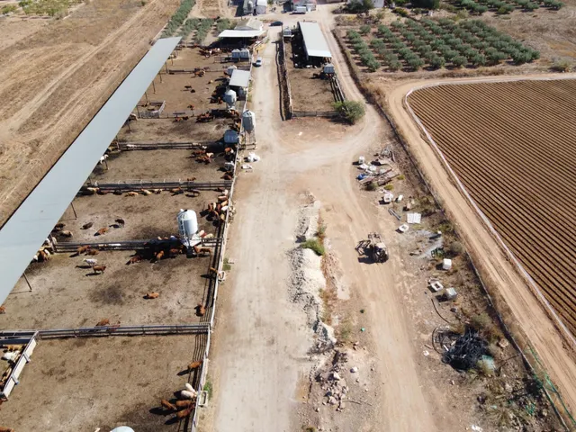 Gran explotación ganadera en lorca: capacidad para 760 cabezas y finca agrícola en producción — 10
