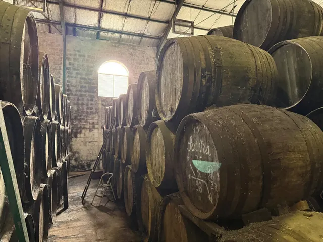 Viñedo de 24,40ha 1300m2 naves y 400m2 restaurante — 23