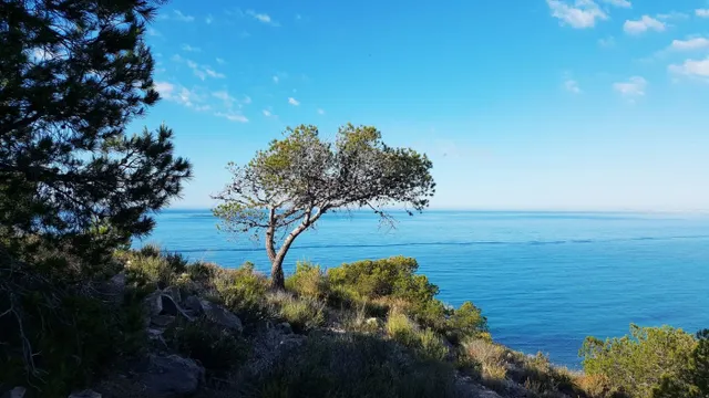 ADOSADO EN RESIDENCIAL A 50M DE LA PLAYA — 14