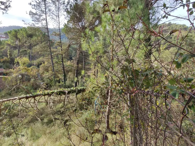 TERRENO EN VENTA EN LA URBANIZACION MASIA DEL SOLÀ (FINCA RUSTICA) MONISTROL DE CALDERS — 23