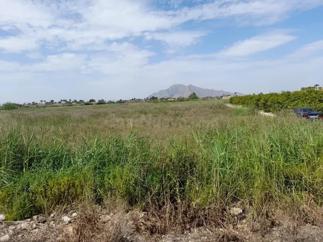 Amplia Parcela en Catral, Alicante - Oportunidad Única