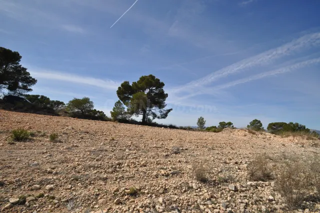 Parcela en venta - Jumilla - foto 2