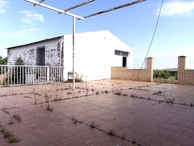 FINCA CON CASA EN TERMINO LA HABA - foto 3