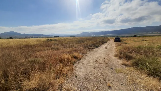 Parcela en venta - Crta. salinas-monovar - foto 4