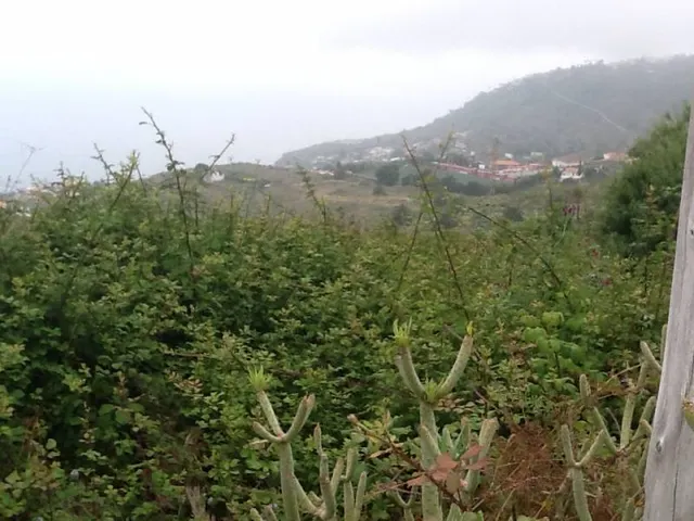 Terreno Puntillo Sol — 4