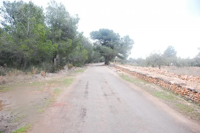 Finca rústica en venta - Afueras del pueblo — 9