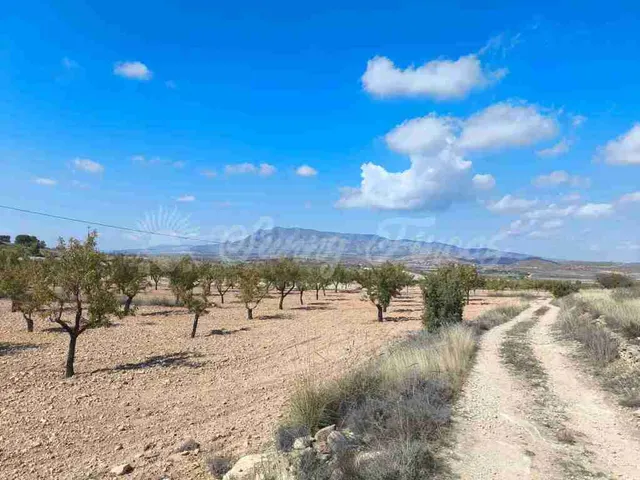 Suelo rústico en Venta en Jumilla Murcia — 10