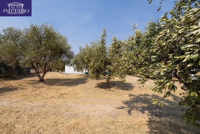 Encanto rústico con casita y olivos en Moraleja de Zafayona 🌿 — 39
