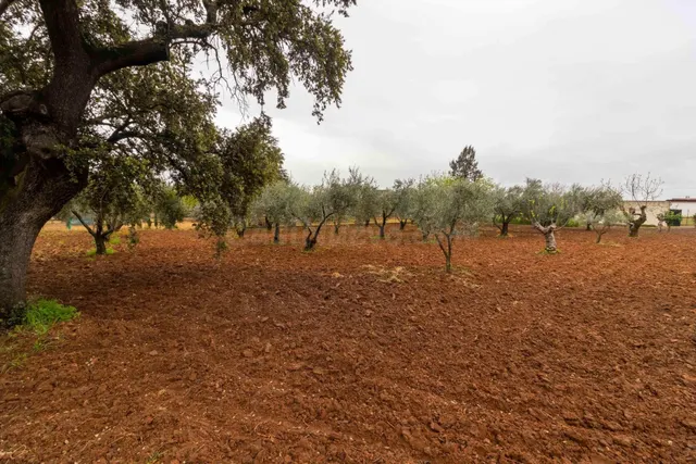 A UN PASO DE BADAJOZ… TU REFUGIO PARA DISFRUTAR SIN PRISAS - foto 2