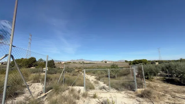 Finca rural con casa, casa auxiliar y 350 oliveras | los valientes — 25