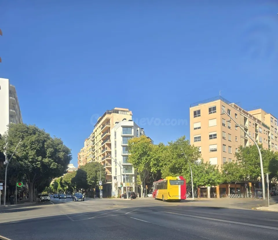 VIVIR EN MALLORCA CENTRO