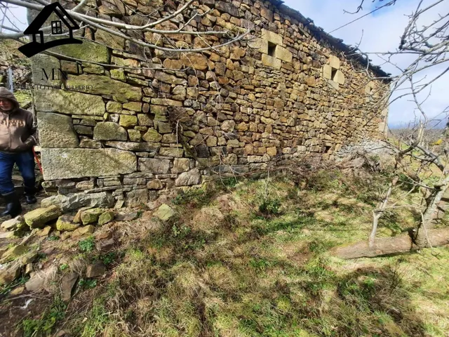 VENTA DE CABAÑA Y FINCA EN SAN PEDRO DEL ROMERAL - foto 4