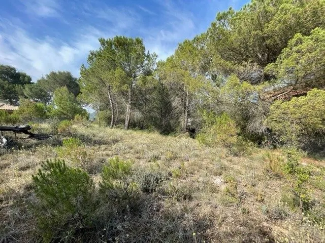 PARCEL.LA EN VENDA EL XARÓ — 5