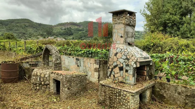 FINCA RUSTICA CON VISTAS AL RÍO MUY CERCA DE RIBADAVIA. - foto 3