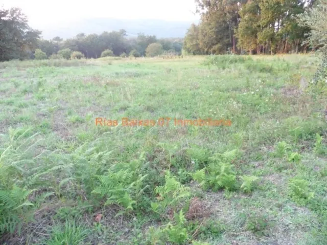 REF3102 SOLAR IDEAL DE 1100 M2 CENTRO TOMIÑO - foto 2