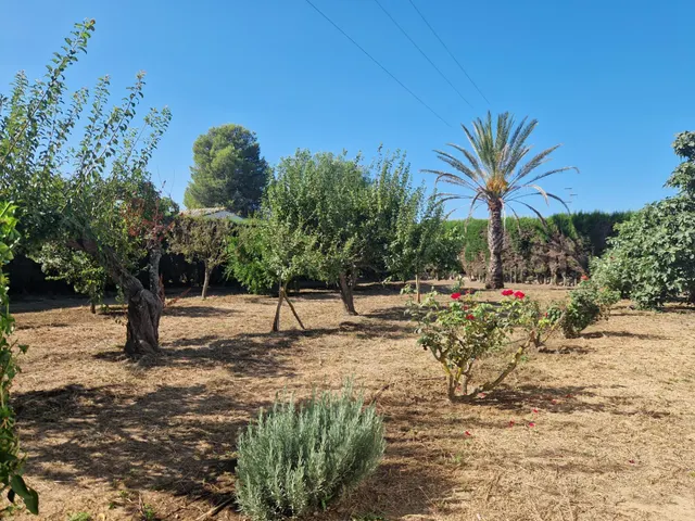 Finca rústica con dos viviendas, piscina y 56.000 m2 de tierras de regadío a 10 minutos de Jerez — 31