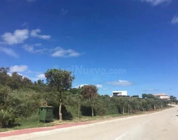 TERRENO URBANO EN VENTA. SOTOGRANDE ALTO - foto 4