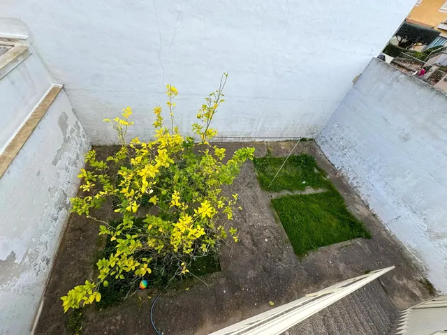 GARAJE CON ALTA CAPACIDAD PARA VEHÍCULOS CON PATIO TRASERO. — 4