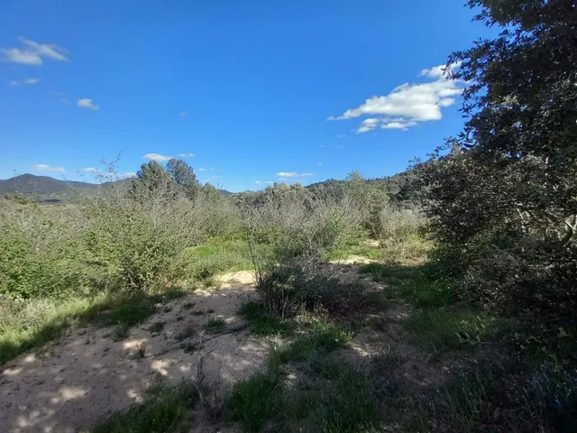 Terreno rural en l'Aleixar — 7