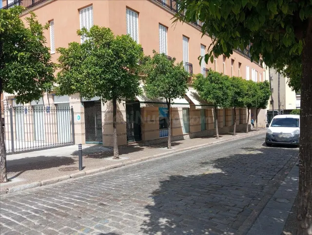Venta local comercial en Jerez de la Frontera (Cádiz)
