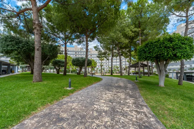 Precioso apartamento con vistas al mar - playa muchavista — 31