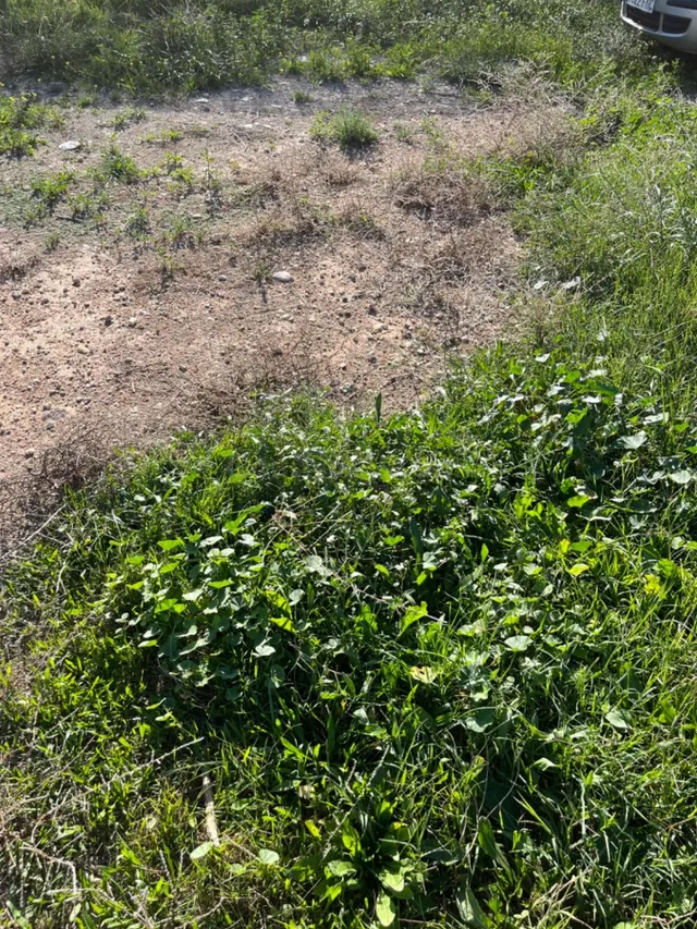 Tu terreno tan cerca de la ciudad... - foto 5
