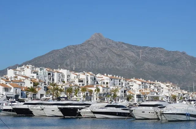 Negocio 1 habitación 60m² en alquiler - Marbella — 4