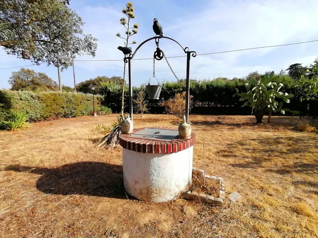 Chalet con Piscina en el Monte del Casar de Cáceres - Oportunidad única — 23